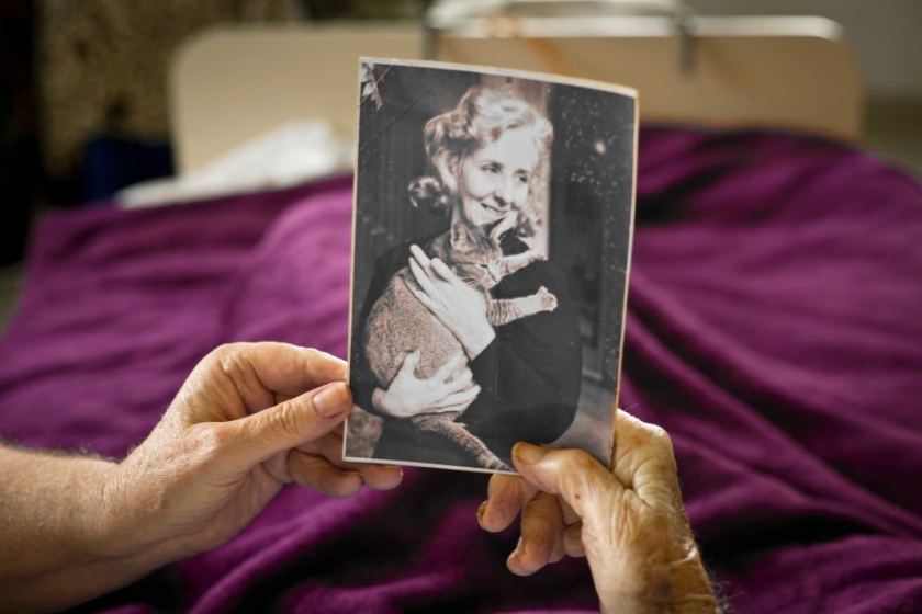 10572188-3x2-940x627